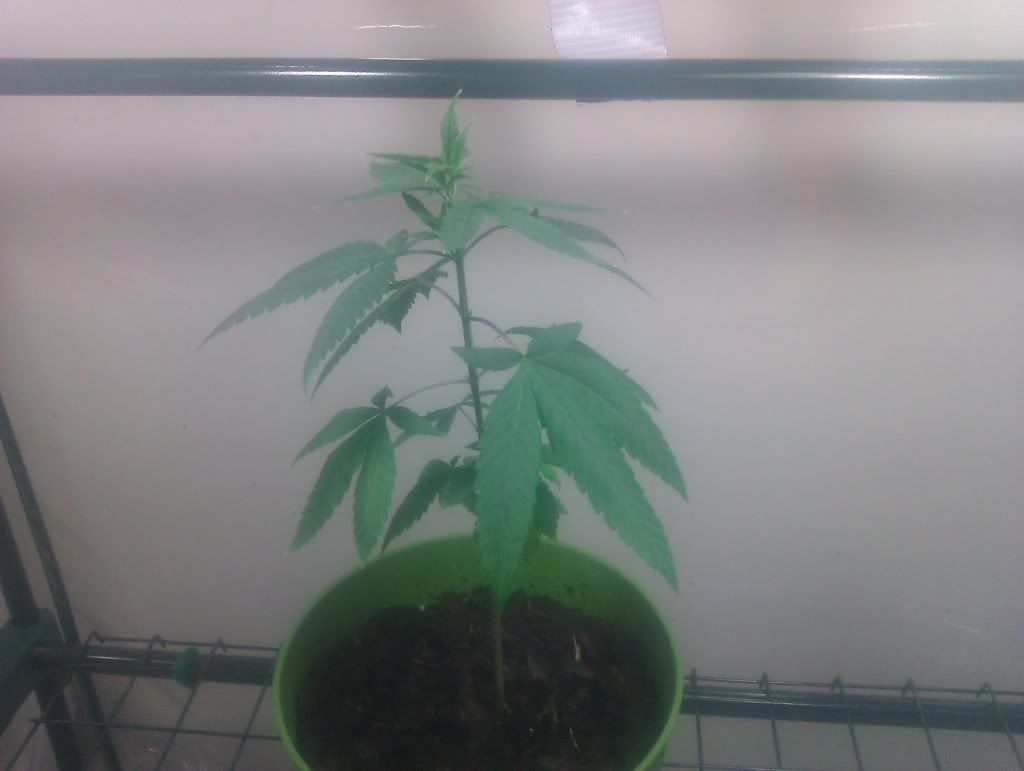 IMAG0565.jpg