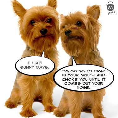 Happypuppies.jpg