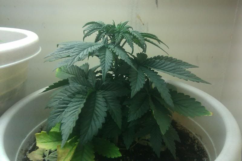 ddf9f30b.jpg