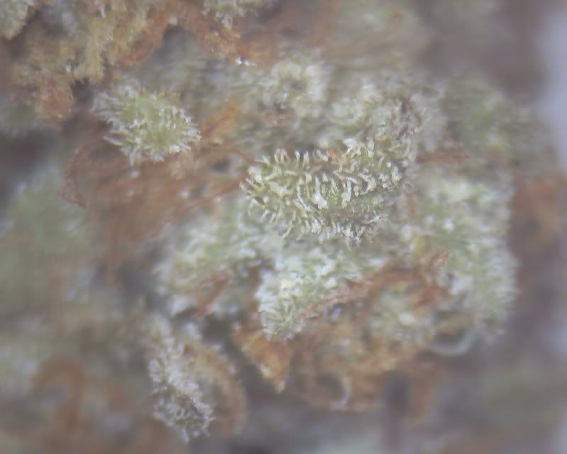 test.jpg