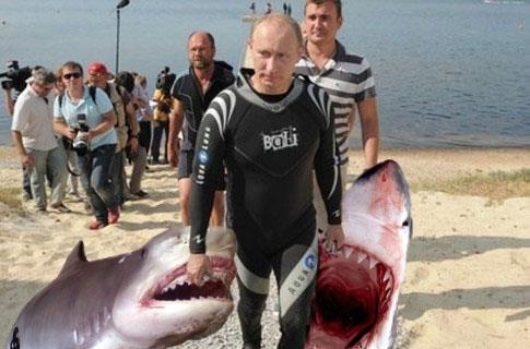 putin_sharks.jpg