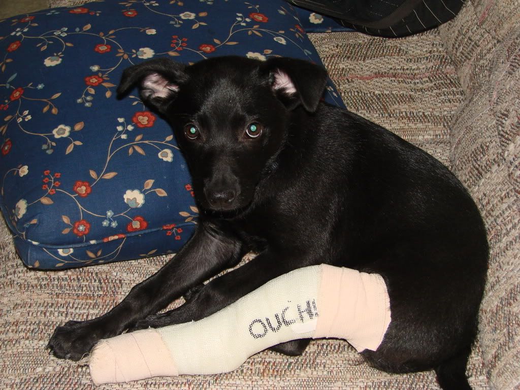 kylepics070.jpg