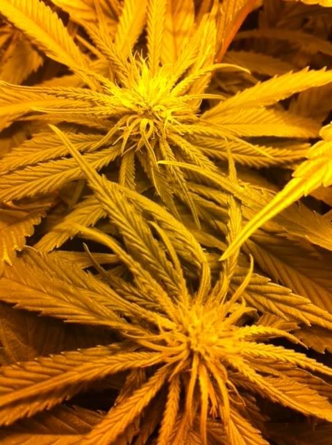 photo-7.jpg