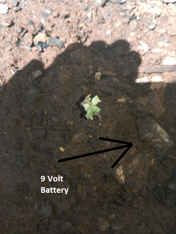 9volt.png