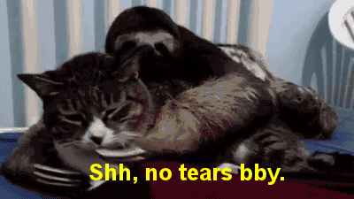 tumblr_mqb29iXPO61sqhu5io1_400.gif