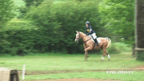 animals-being-dicks-gifs-horse.gif