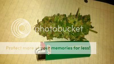 2011-10-15_23-16-20_414.jpg