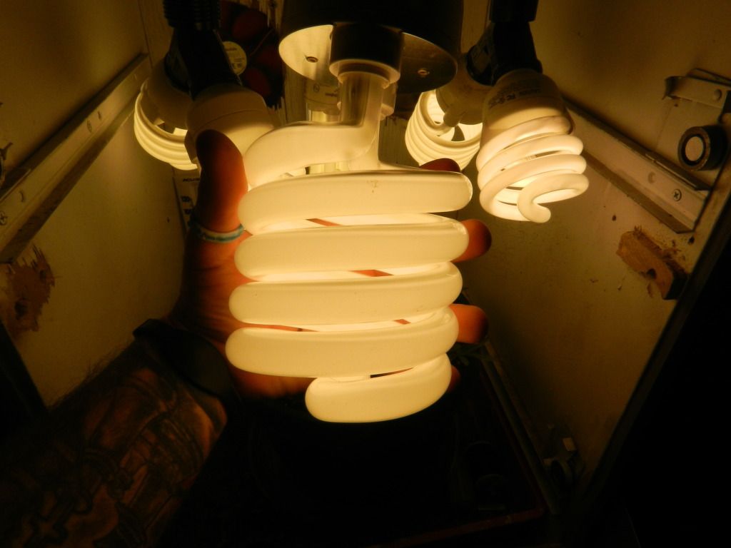 DSCN0291.jpg