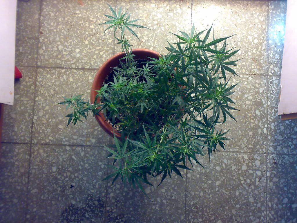 10022009598.jpg