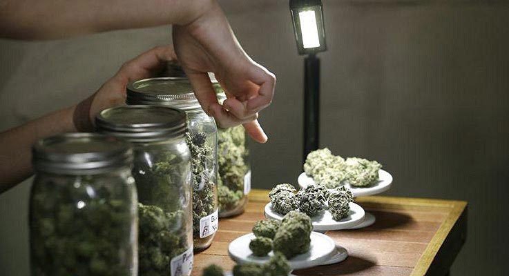MMJ_Selection31.jpg