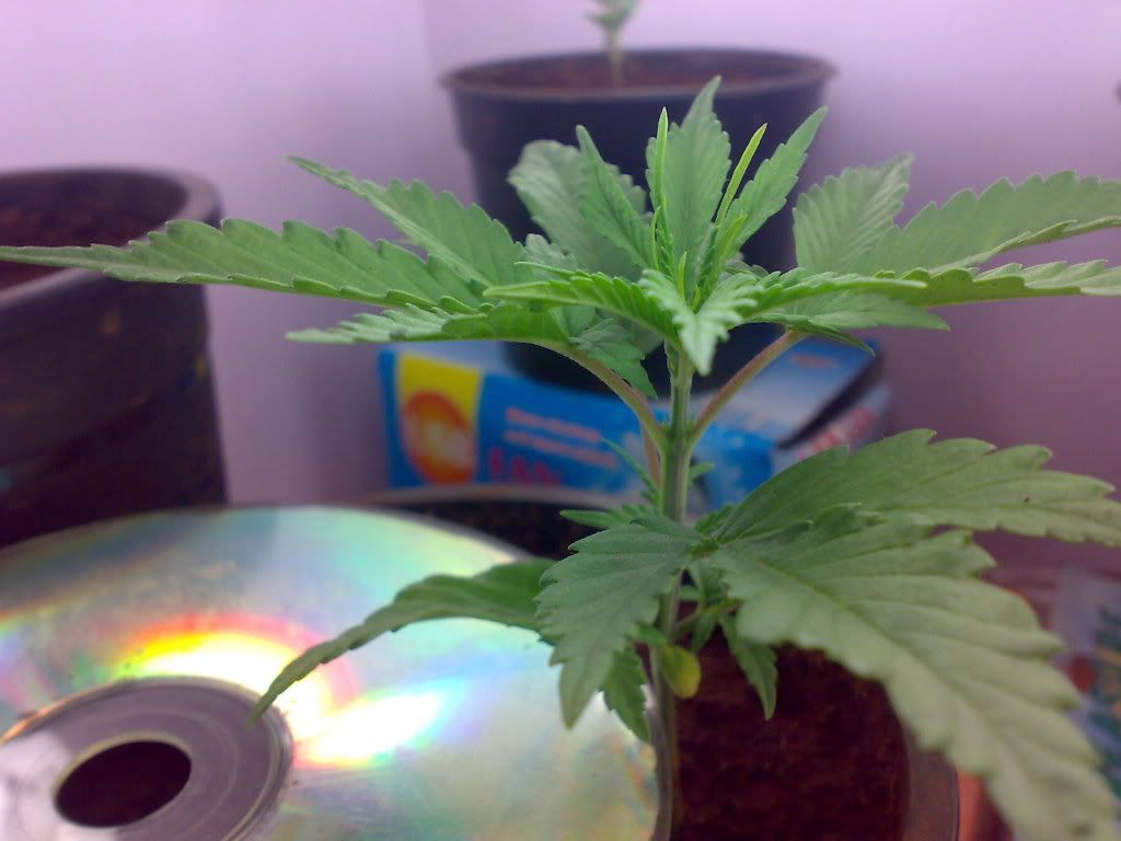 27122008288.jpg