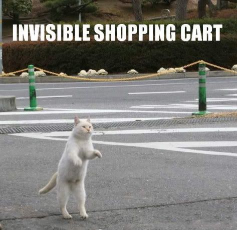 shoppingcarthe0.jpg