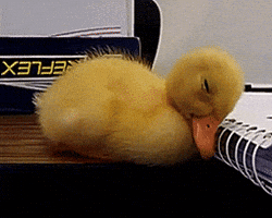 200.gif