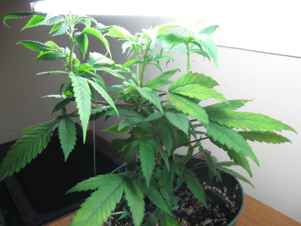 indoor09006.jpg