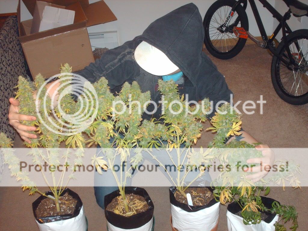 Picture152.jpg