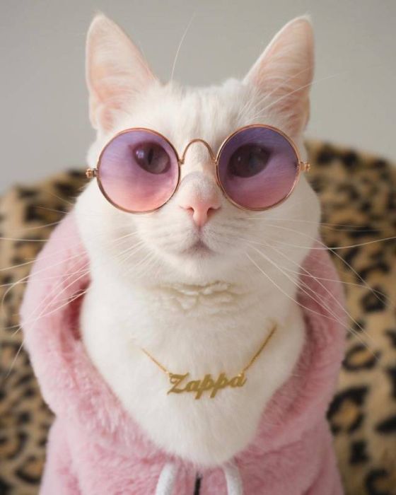 acid_picdump_55.jpg