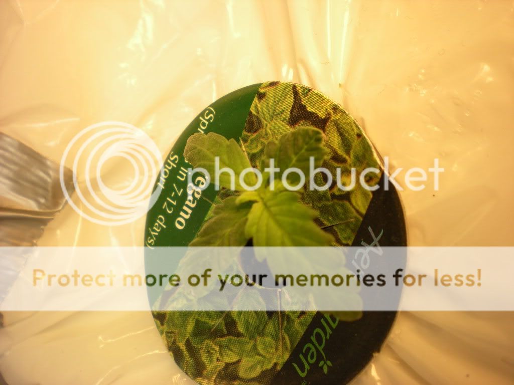 day14plant2.jpg