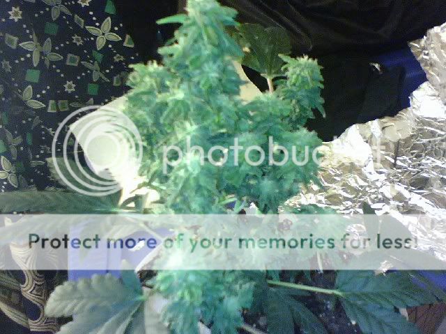 0812081814.jpg