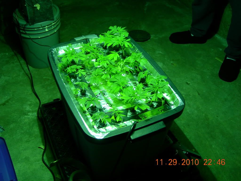 DSCN6949.jpg