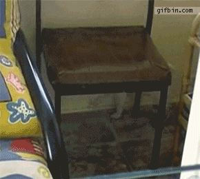 gifs_05.gif