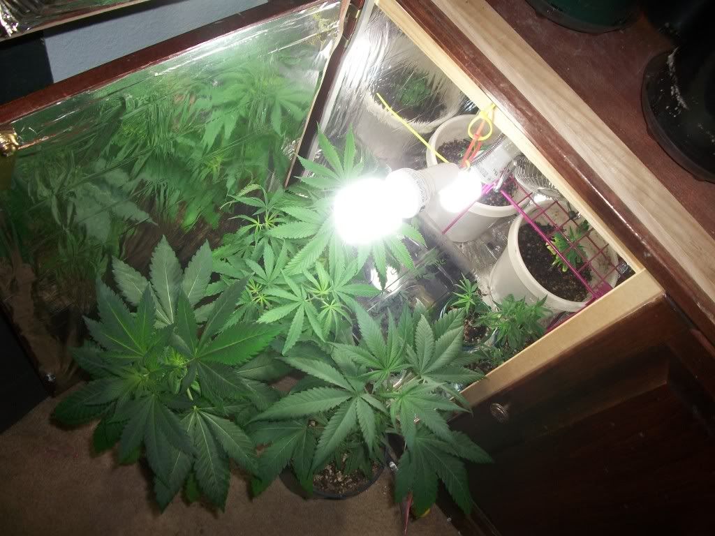9-20-11002.jpg