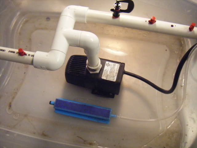 DSCF1717.jpg