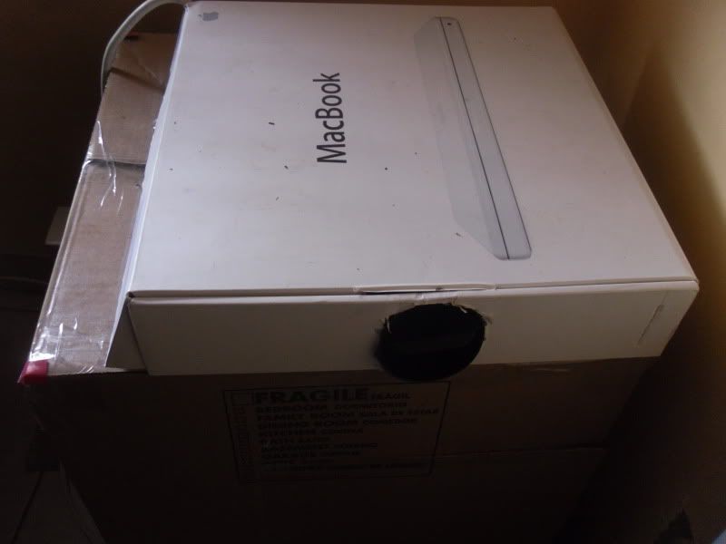 SDC10536.jpg