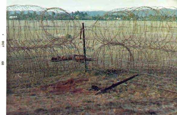 tuy-graham-sapper-06.jpg