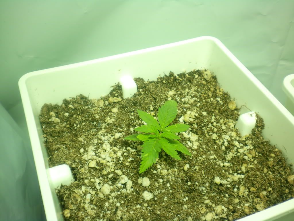 10-15-11006.jpg