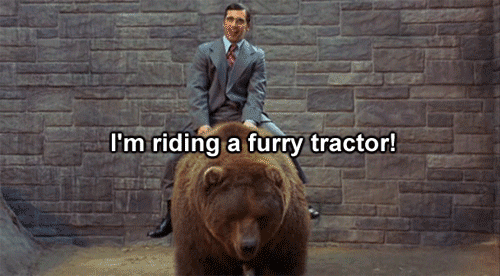 WDg4y.gif