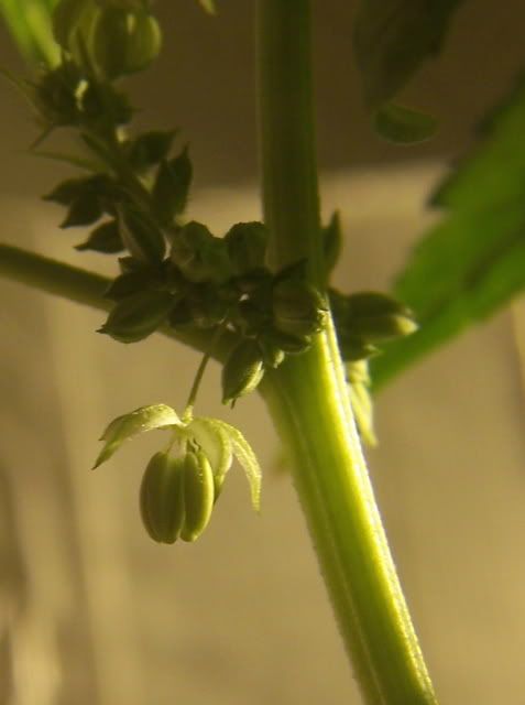 000_2812.jpg