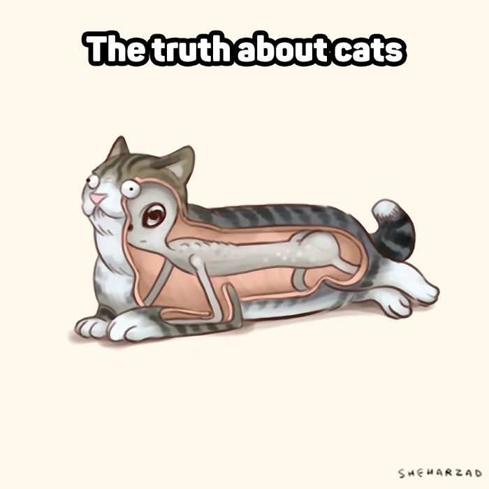 a8e2edc013d35db64499302da69c4a19--alien-hate-cats.jpg