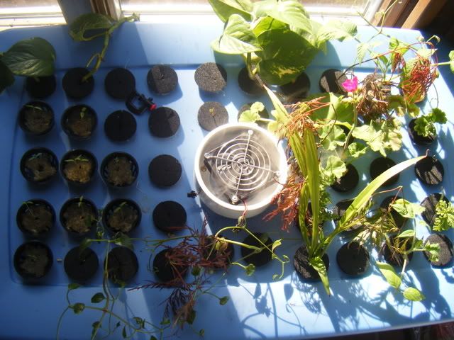 DSCF1534.jpg