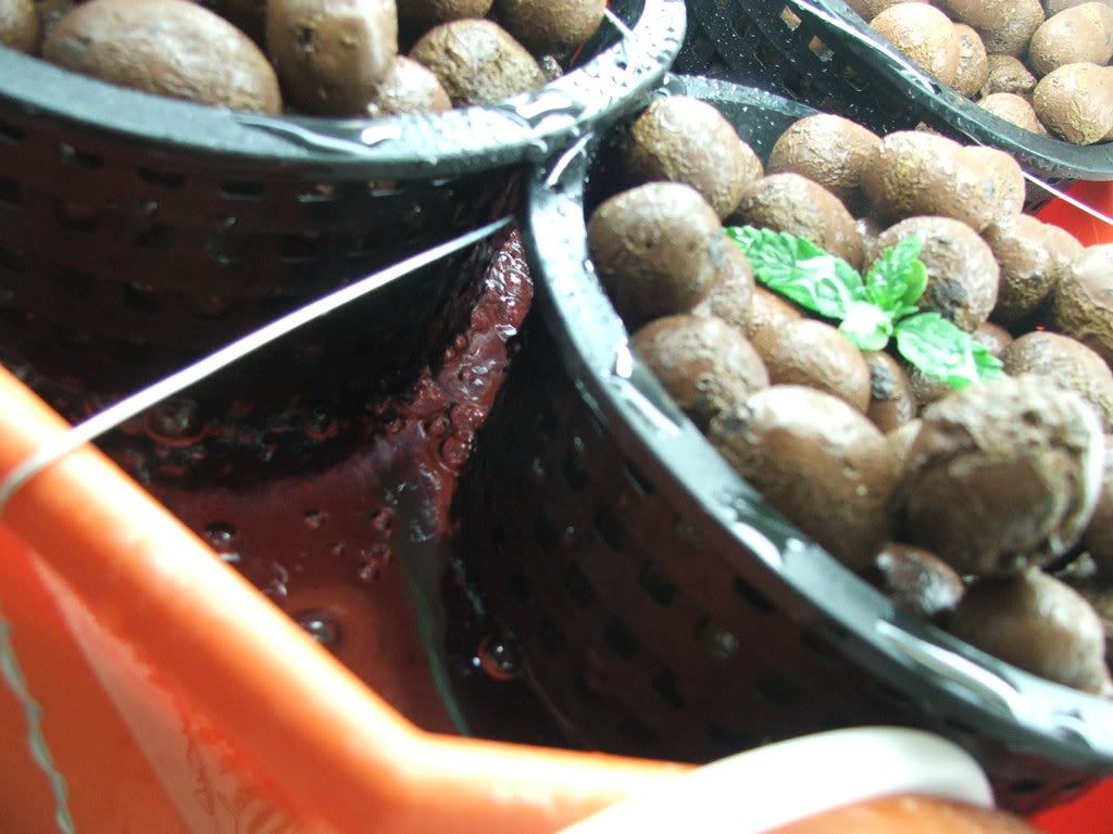 DSCF6986.jpg