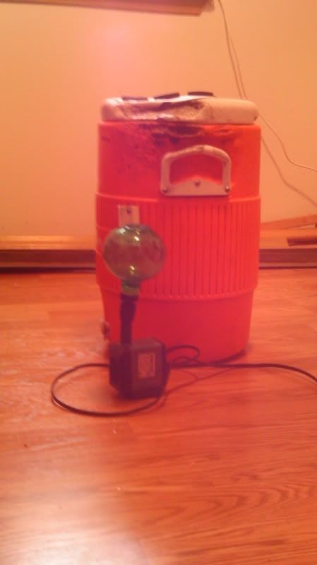 IMAG0231.jpg