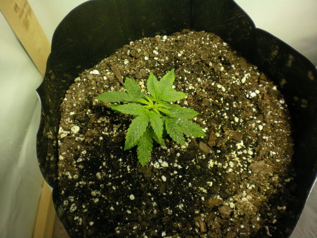 10-11-11001.jpg