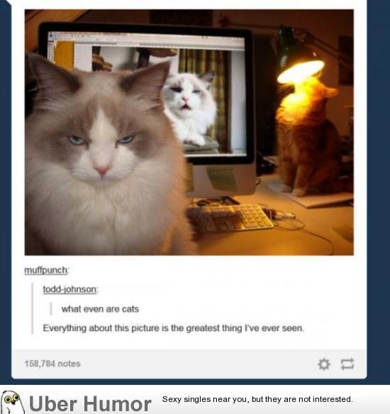 best-of-the-week-pics-4.jpg