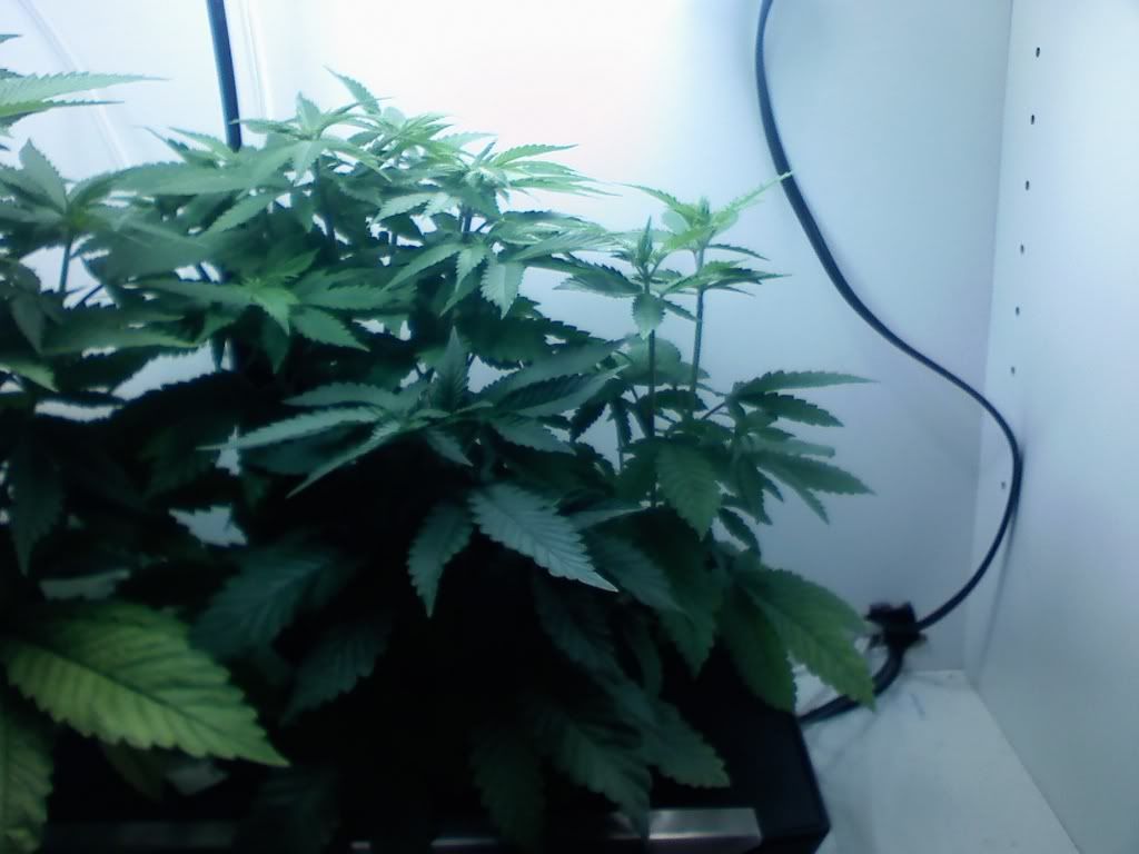 R2WRPBKMSD4540.jpg