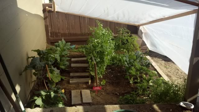2012-05-29_17-39-26_618.jpg