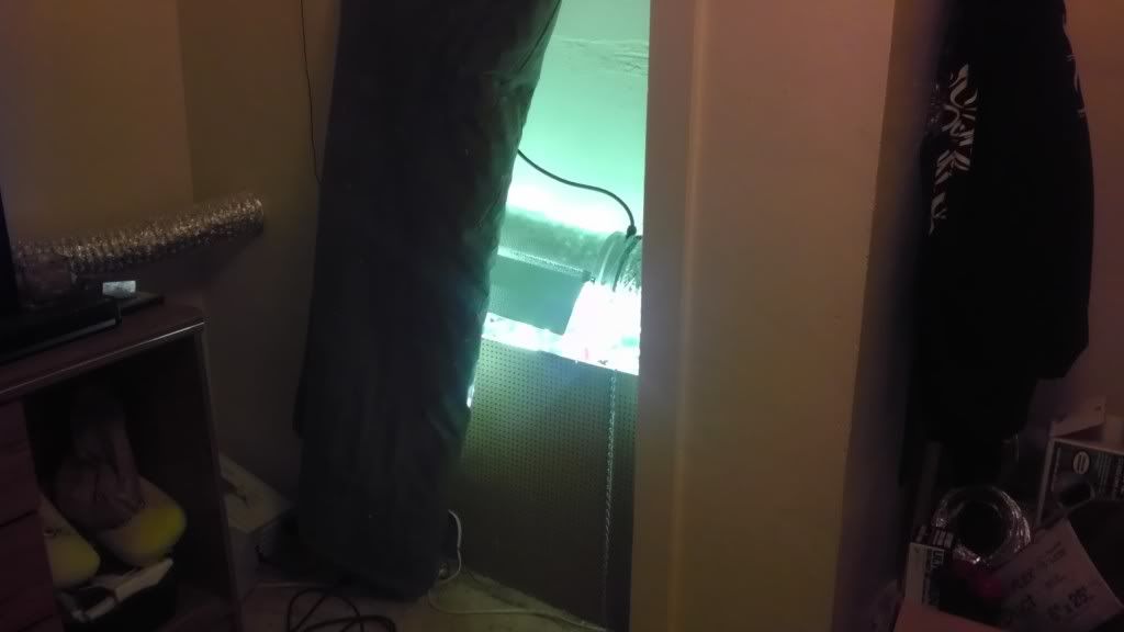 IMAG0474.jpg