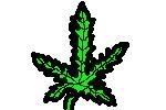 leaf.jpg