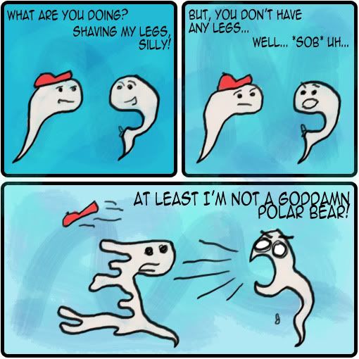 GS_PolarBear.jpg