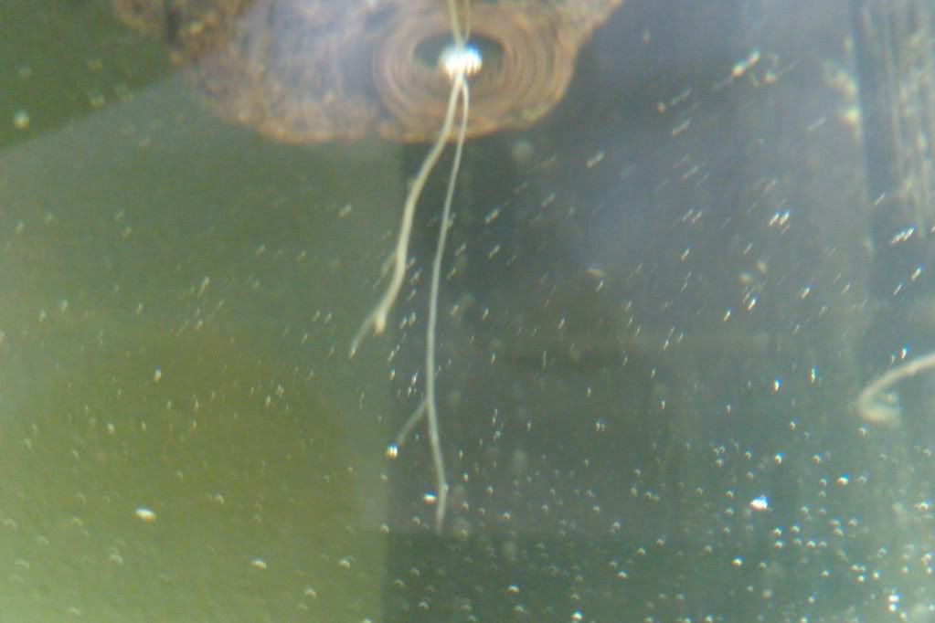 IMAG0222.jpg