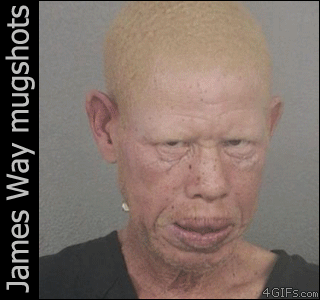 Mug-shot-champion.gif