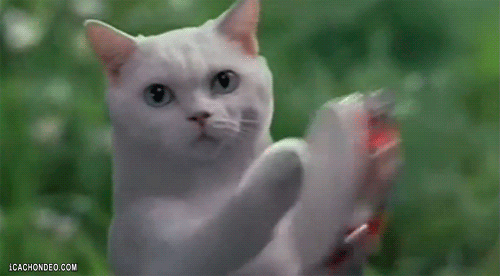 RB5fLFy5PcaYw.gif