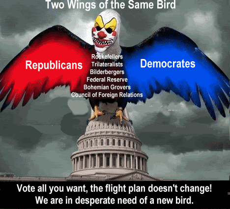 2Wings1BirdNew.gif