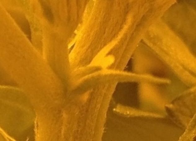 photo-10.jpg