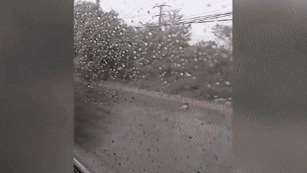 gifs_16.gif