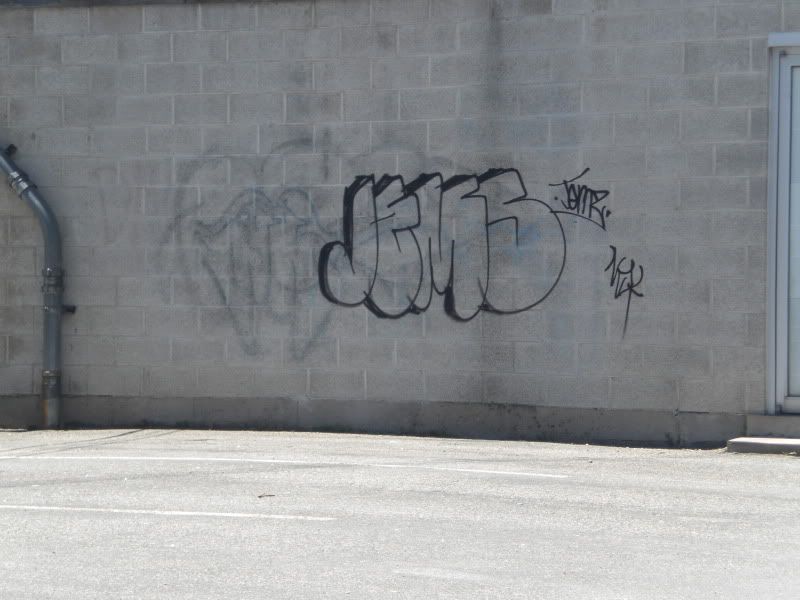 CIMG0570.jpg