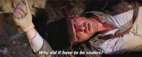 tumblr_inline_mvhrtyywvA1rxo2n2.gif